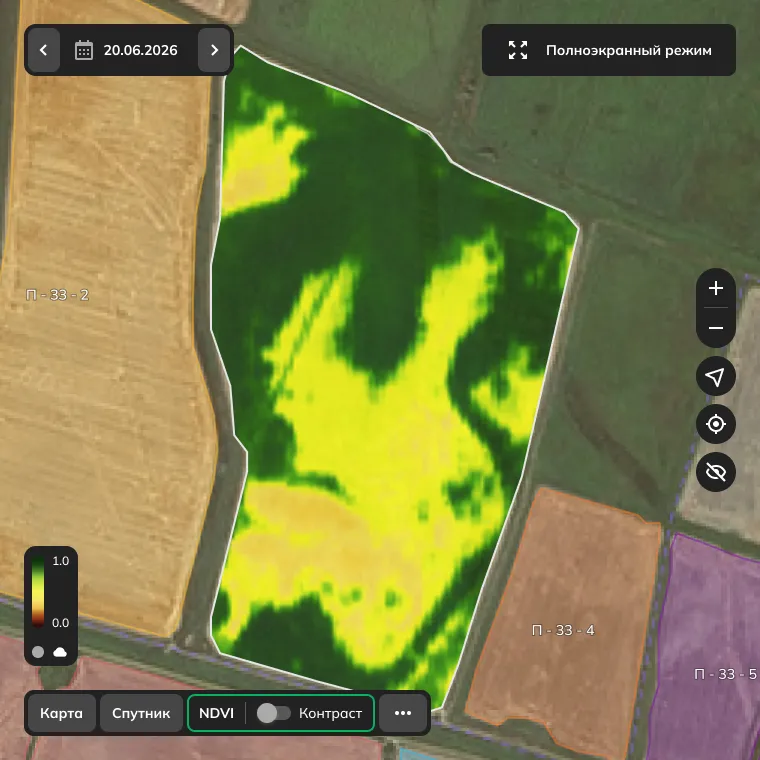 NDVI: показатель активности фотосинтеза