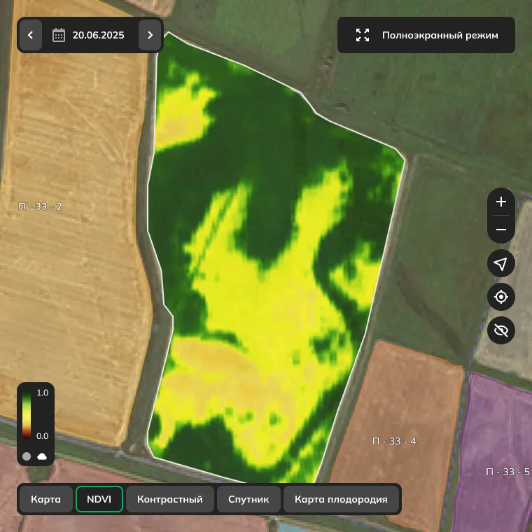 NDVI: показатель активности фотосинтеза