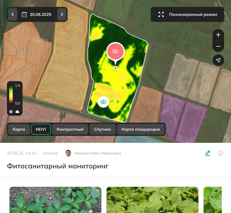 Осмотр посевов: учет показателей, контроль вегетации